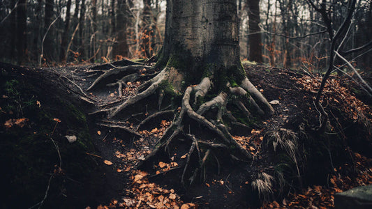 Mastering Android Uninstalling Root in Simple Steps