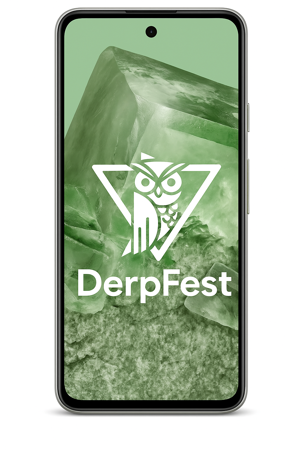 Google Pixel 8 | DerpFest - PrivacyPortal