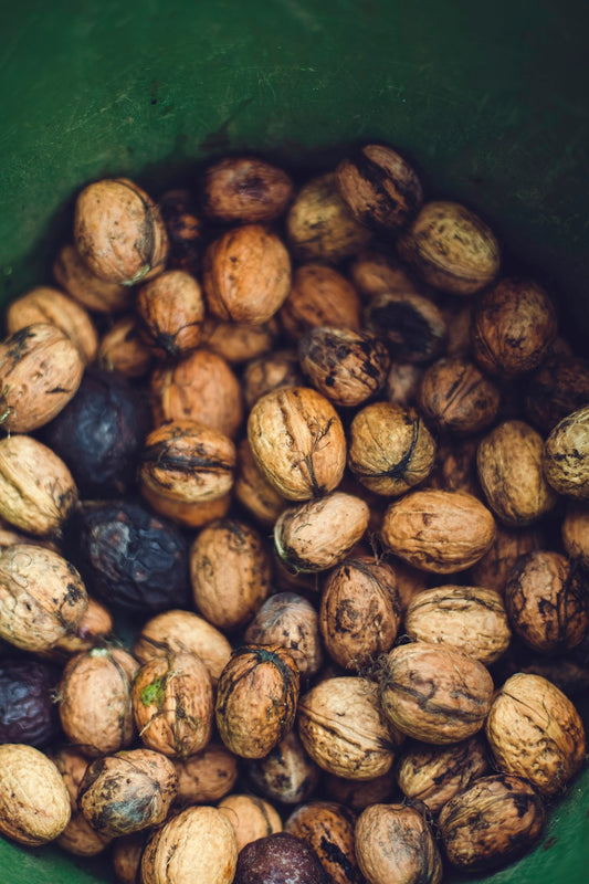 Unlocking Possibilities: A Dive into Magisk Modules and Custom Kernels