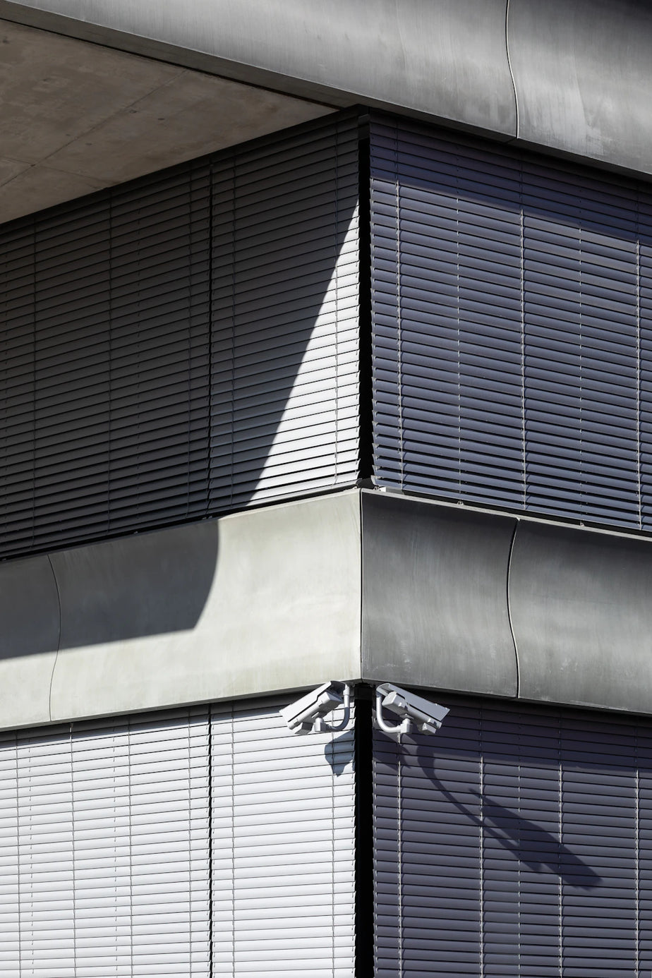 Navigating the Privacy Phone Market: Key Considerations For Your Business