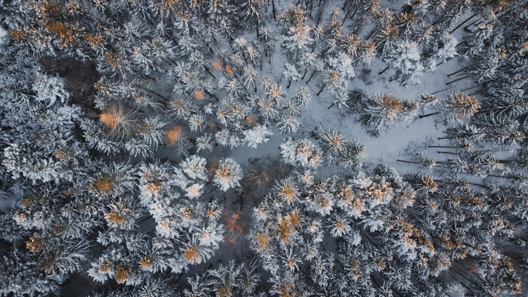 Unlocking the Power of Root-Only Apps