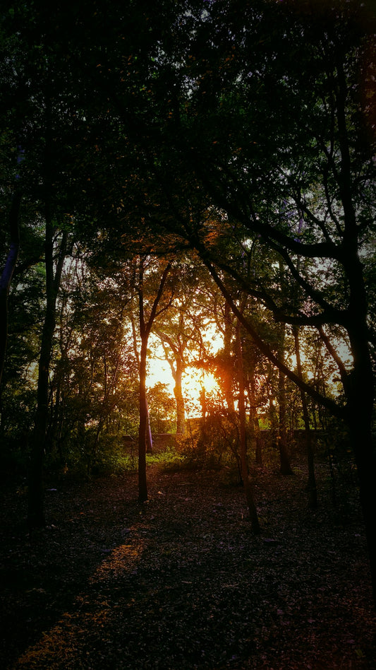 The Hidden Dangers of Location Spoofing on Pokemon Go