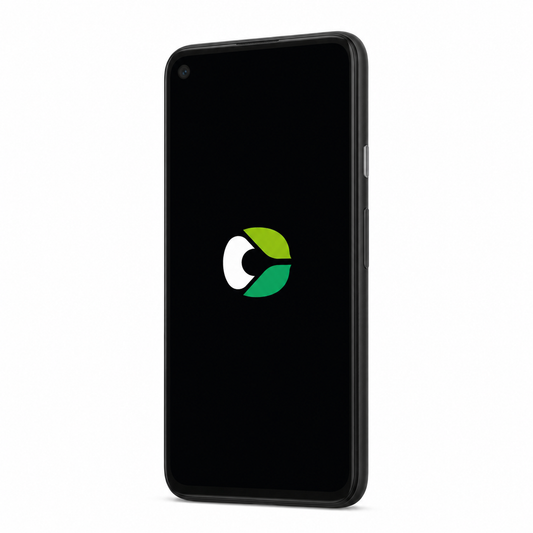 Google Pixel 4a (5G) with CalyxOS logo on a black screen