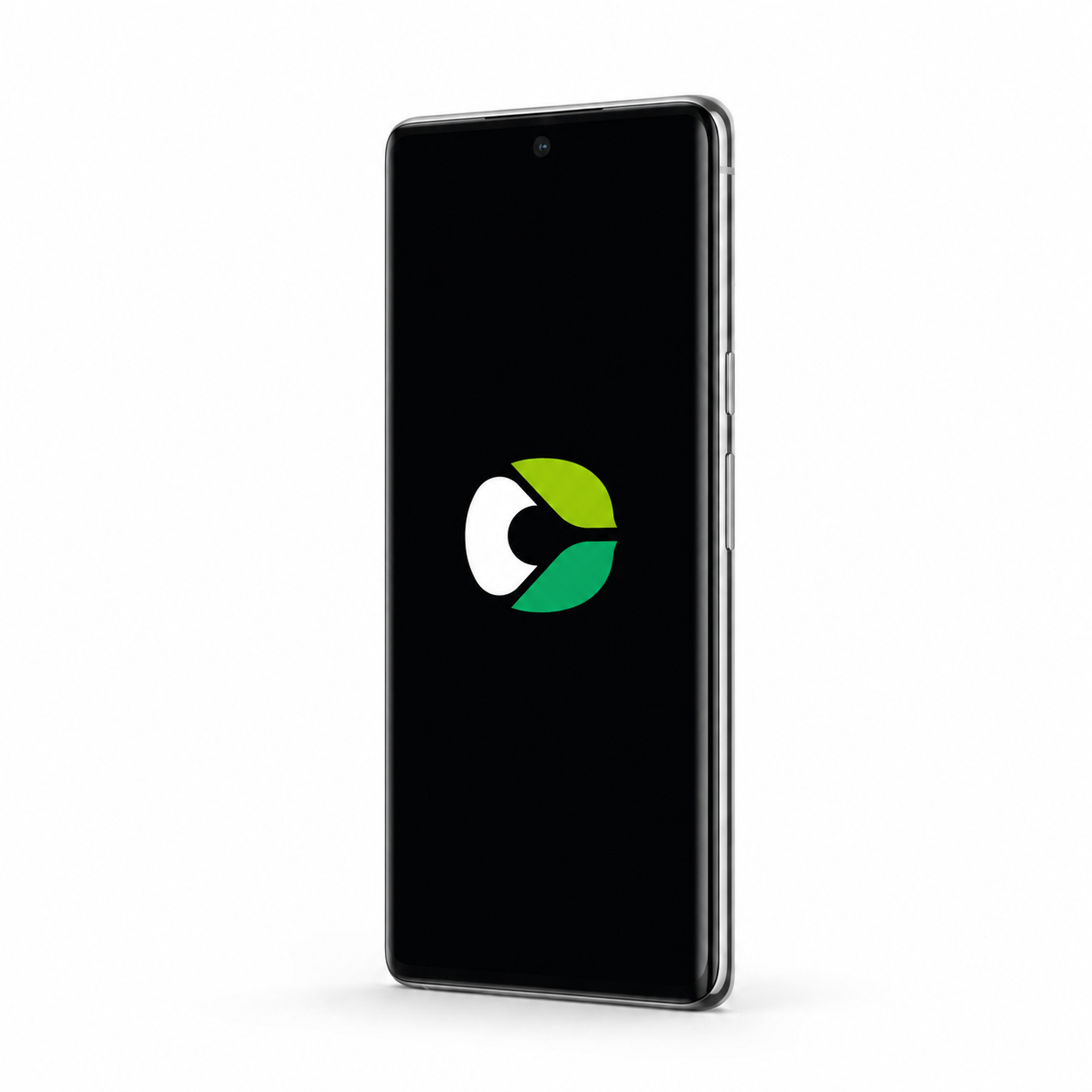 Google Pixel 6 Pro with CalyxOS logo on a black screen