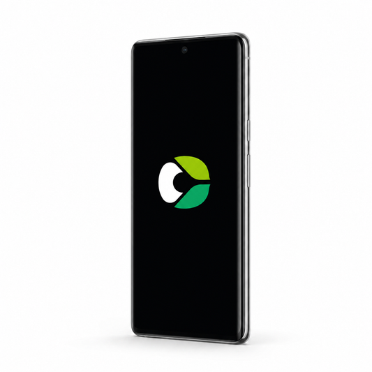 Google Pixel 6 Pro with CalyxOS logo on a black screen