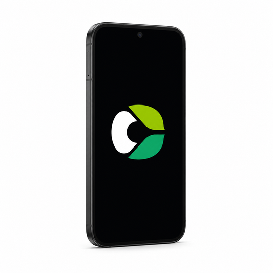 Google Pixel 9 with CalyxOS logo on a black screen