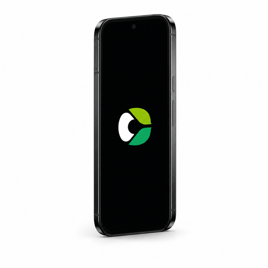 Google Pixel 9 Pro XL with CalyxOS logo on a black screen